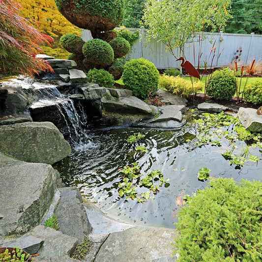 pond with solar powered water fall in a nicely landscape back yard