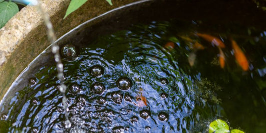 Solar pond aerator makes bubbles in coy fish pond