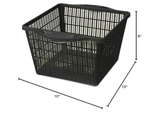 Sturdy Plastic Square Planting Basket, 6-Inch