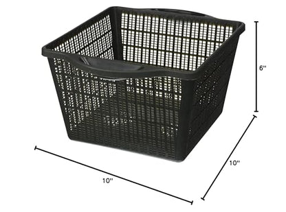 Sturdy Plastic Square Planting Basket, 6-Inch