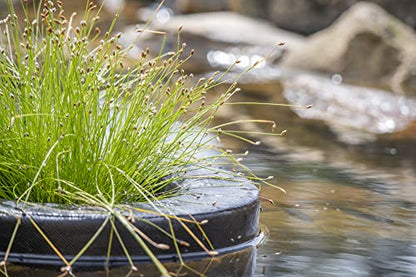 Floating Fabric Aquatic Water Garden Pond Planter Basket, 14 Inch Round for Ponds, Gardens and Water Features