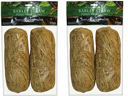 Clear-Water Barley Straw Bales, 2 Packs of 2 (4 Total)