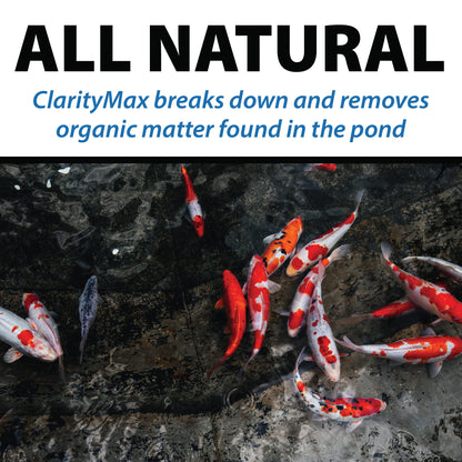 All-in-One Pond Clarifier Treatment, All-Natural Beneficial Bacteria & Enzymes Provide Max Clarity