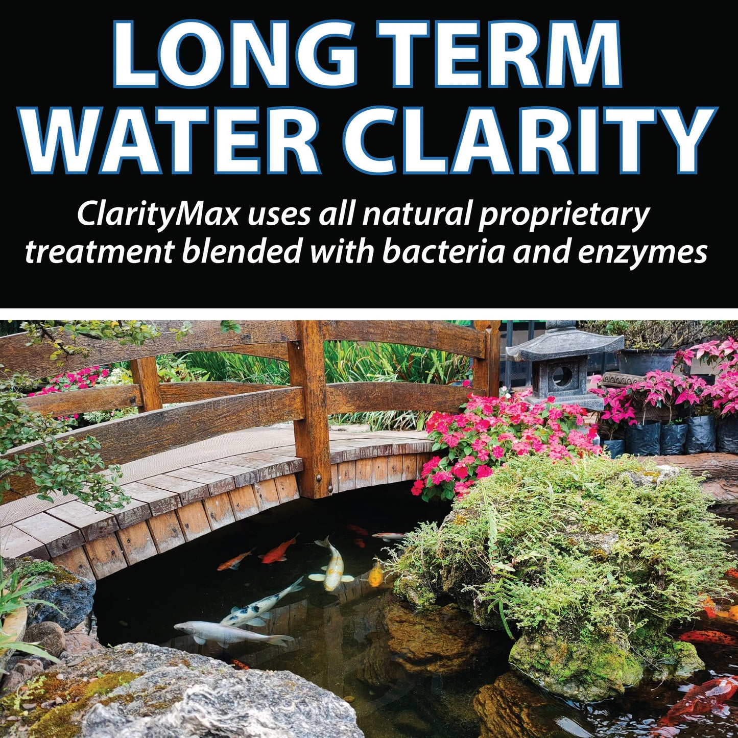 All-in-One Pond Clarifier Treatment, All-Natural Beneficial Bacteria & Enzymes Provide Max Clarity