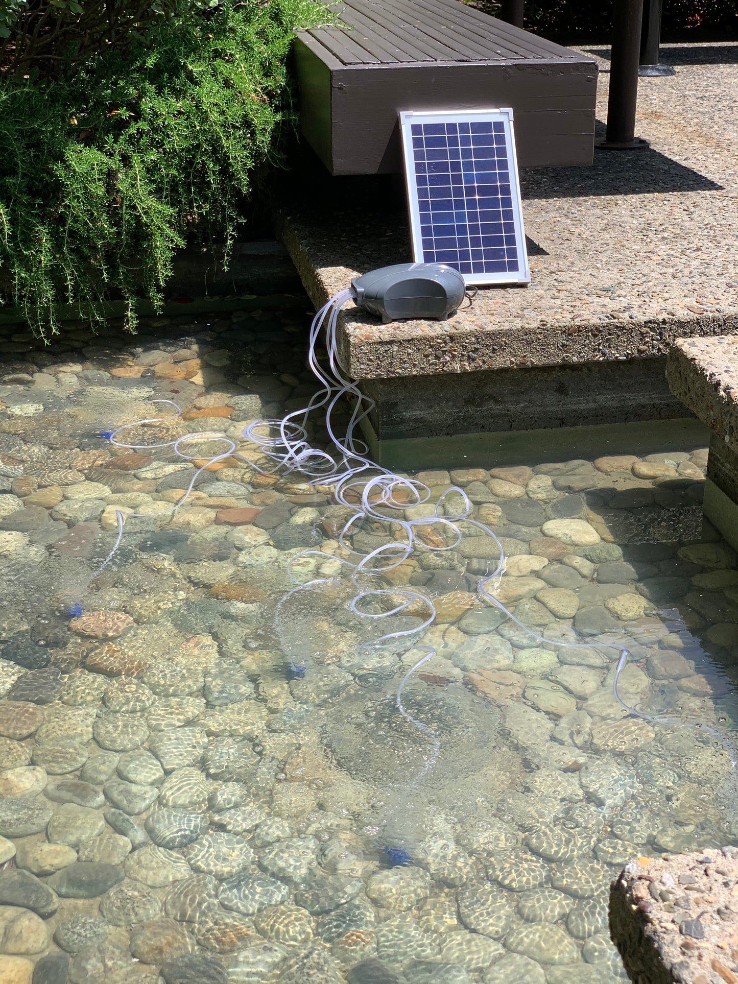 Solariver Solar Pond Aerator being used to aerate a pond..